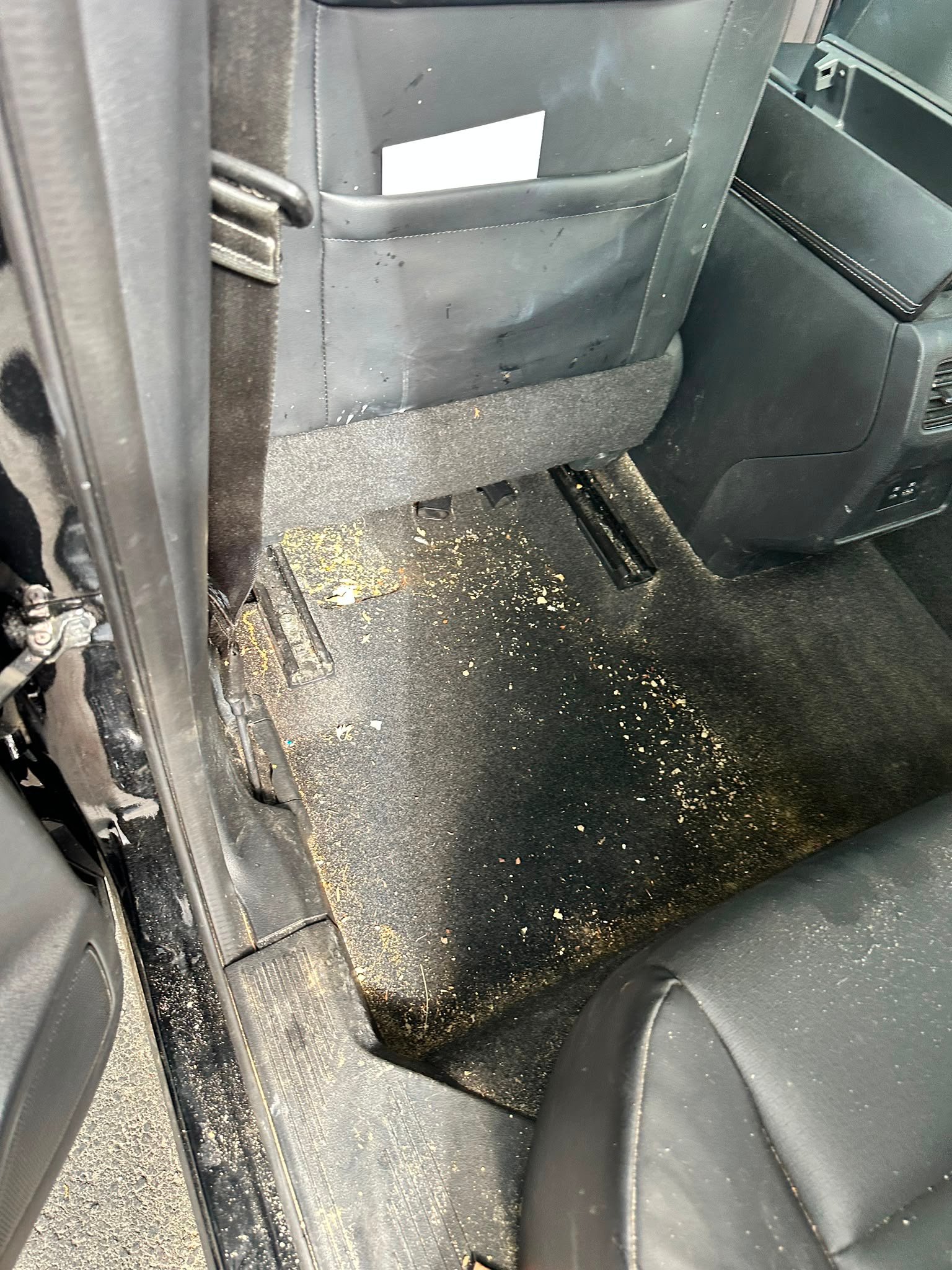Rogue rear before detailing