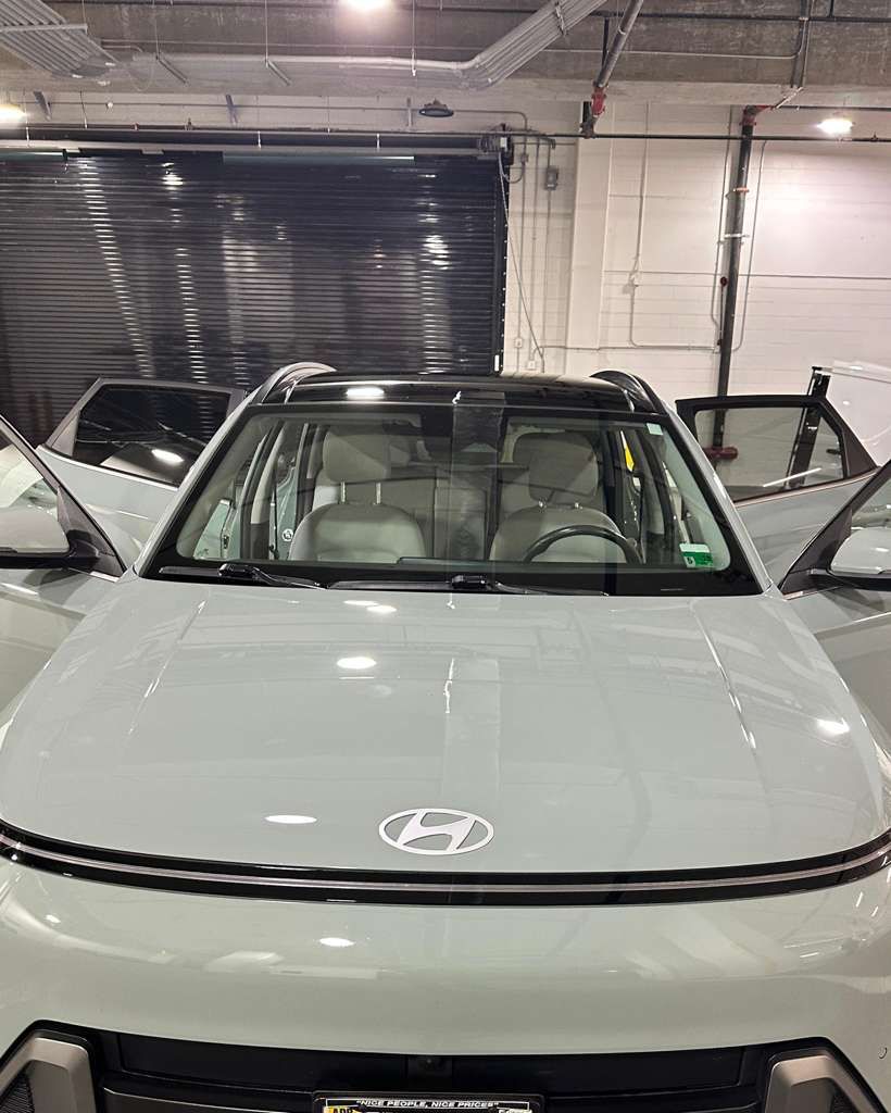 Professional exterior detailing