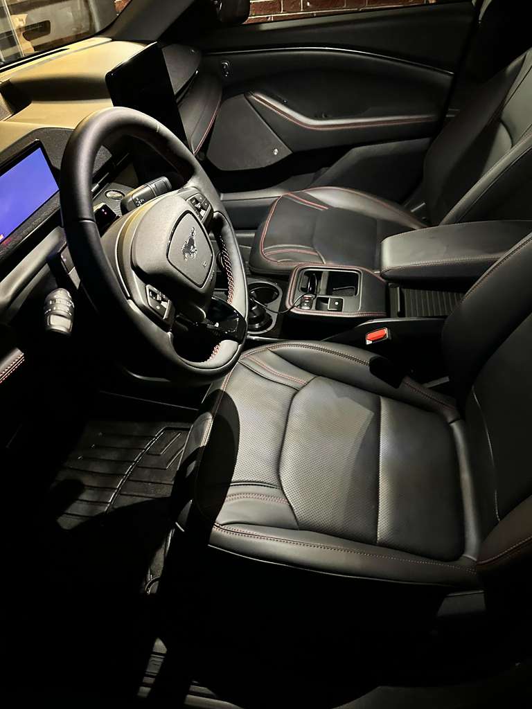 Premium black interior cleaning