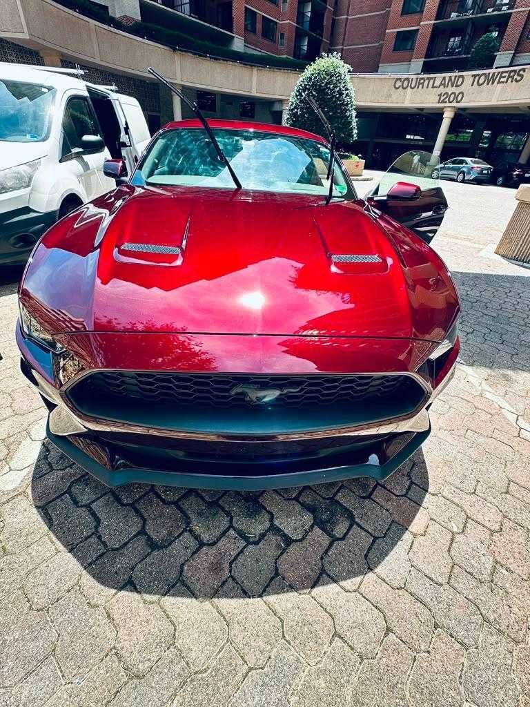 1000383564